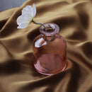Transparent Flower Glass Vase for Decoration