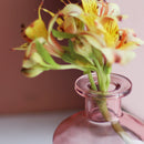 Transparent Flower Glass Vase for Decoration