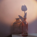 Transparent Flower Glass Vase for Decoration