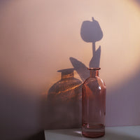 Transparent Flower Glass Vase for Decoration