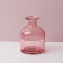 Transparent Flower Glass Vase for Decoration