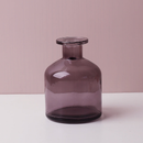 Transparent Flower Glass Vase for Decoration