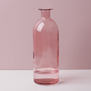 Transparent Flower Glass Vase for Decoration