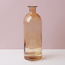 Transparent Flower Glass Vase for Decoration