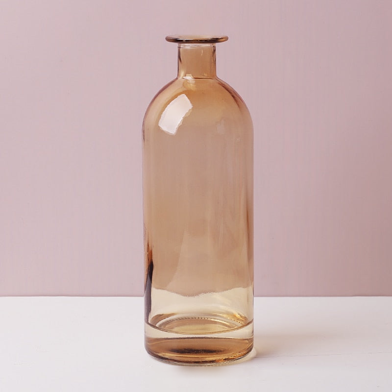 Transparent Flower Glass Vase for Decoration