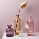 Transparent Flower Glass Vase for Decoration