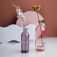 Transparent Flower Glass Vase for Decoration