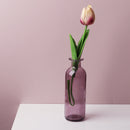 Transparent Flower Glass Vase for Decoration