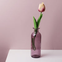 Transparent Flower Glass Vase for Decoration
