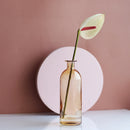 Transparent Flower Glass Vase for Decoration