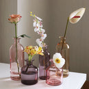 Transparent Flower Glass Vase for Decoration