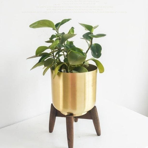 Gold Metal Planter with Wood Stand for Modern Boho Shabby Home Decor