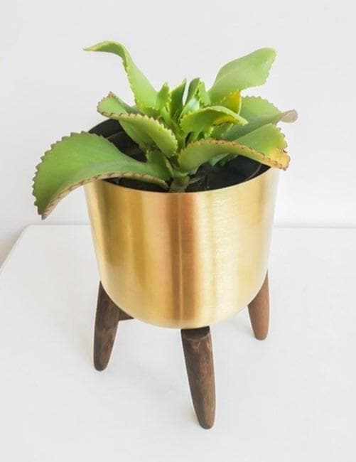 Gold Metal Planter with Wood Stand for Modern Boho Shabby Home Decor