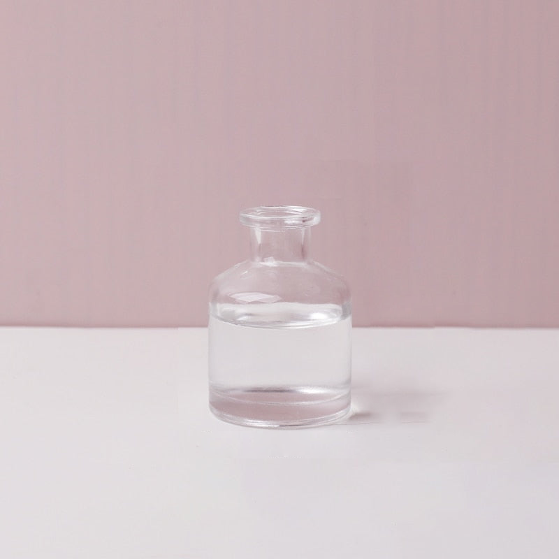 Transparent Flower Glass Vase for Decoration
