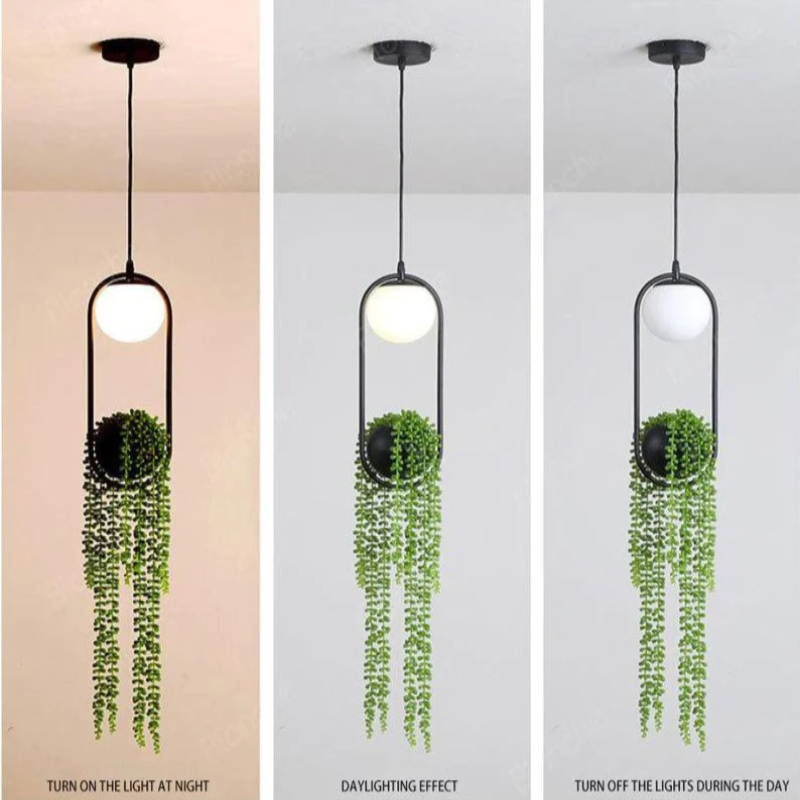 glass globe hanging planter Hanging Garden Planter Globe Pendant Light - LED