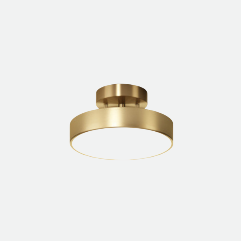 Round Gold Black Disc Metal Iron Ceiling Mounted Light 