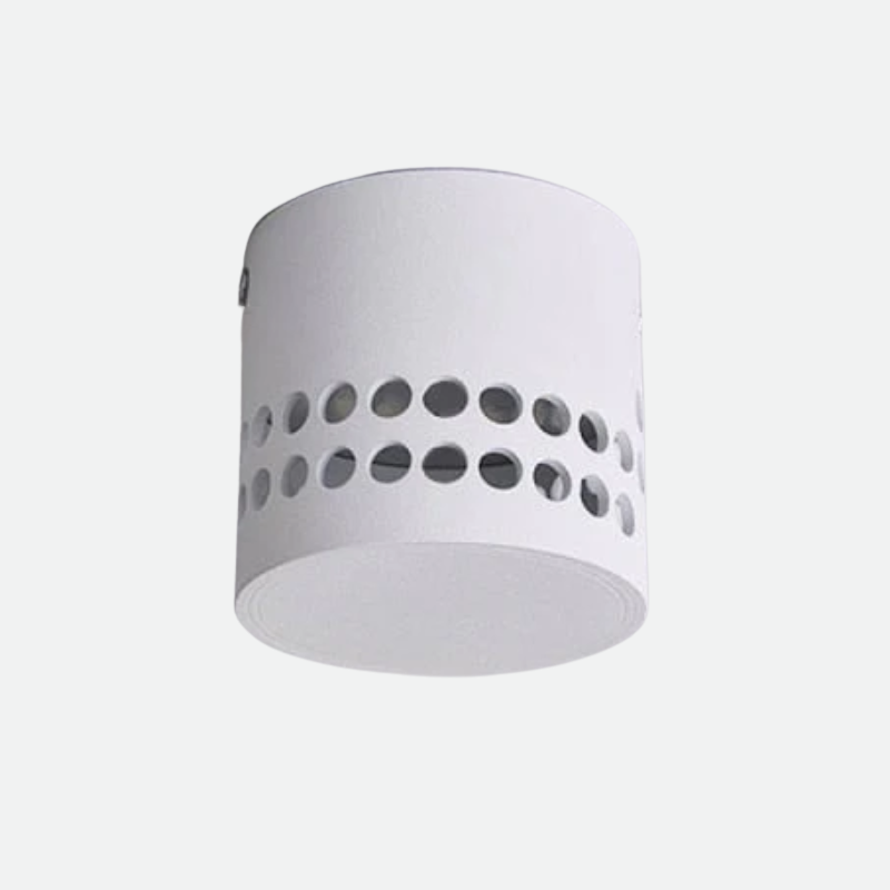 Home Ceiling Lighting LED Lamp in Modern Shadow for Home Decoration