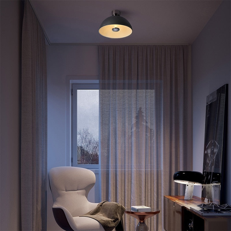 Round Black Ceiling Light