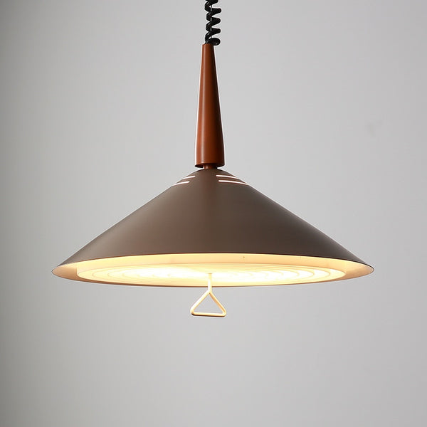 Decorative Accents Pendant LED Lamp Chandelier 