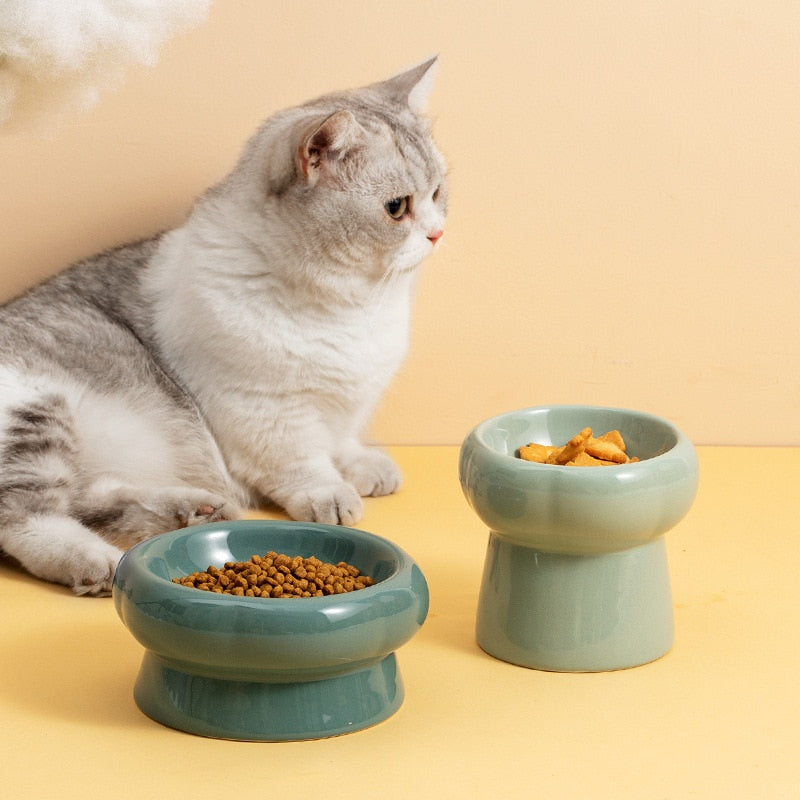 Pet Food Bowls