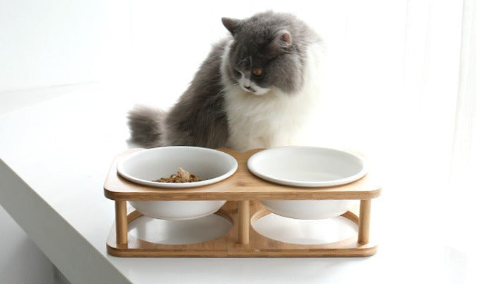 Cat Bowl Stand