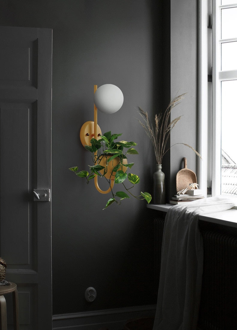 air plant wall sconce Savoy Wall Lamp Planter & Organizer - LED light