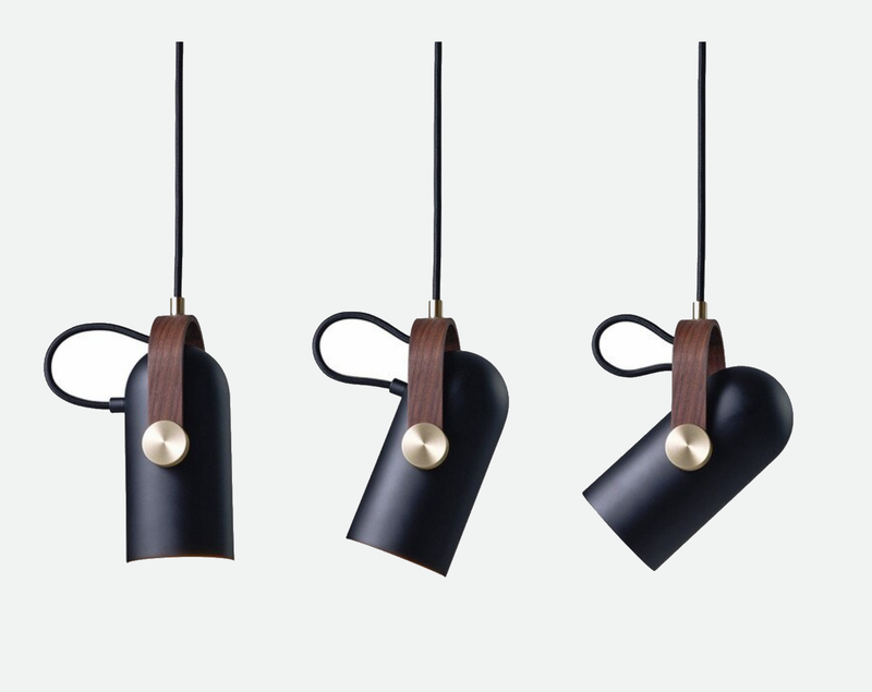 Iron Aluminum Hang Black Pendant Lamp