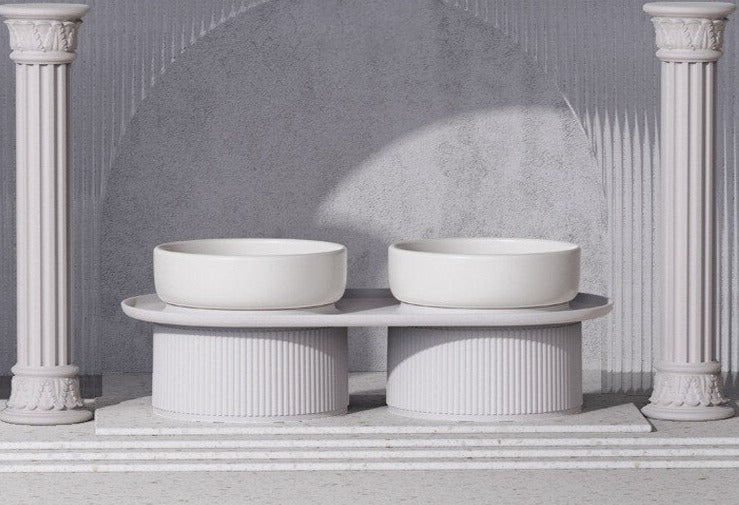 Elevated Double Food and Water Pet Bowls