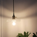 Clear Frosted Glass Copper Finish Pendant Light