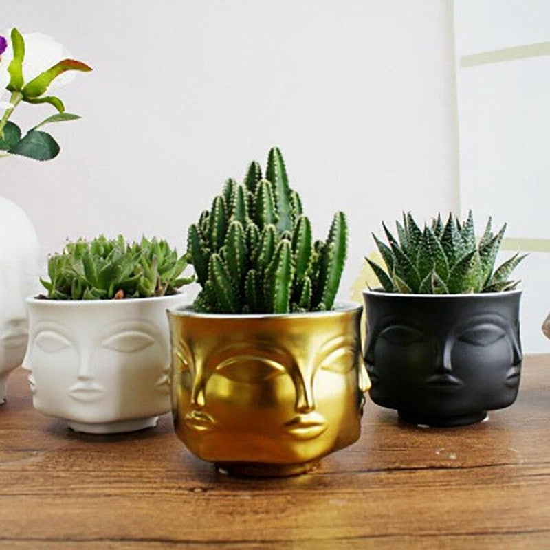 Adler Inspired Boho Ceramic Planters for Home Garden & Decor