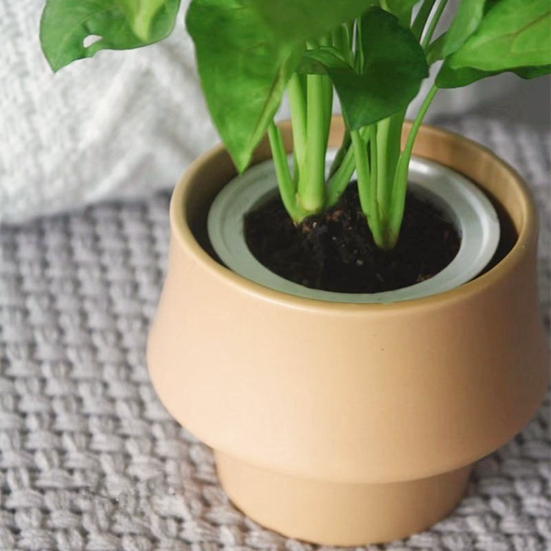 small round ceramic beige flower pot