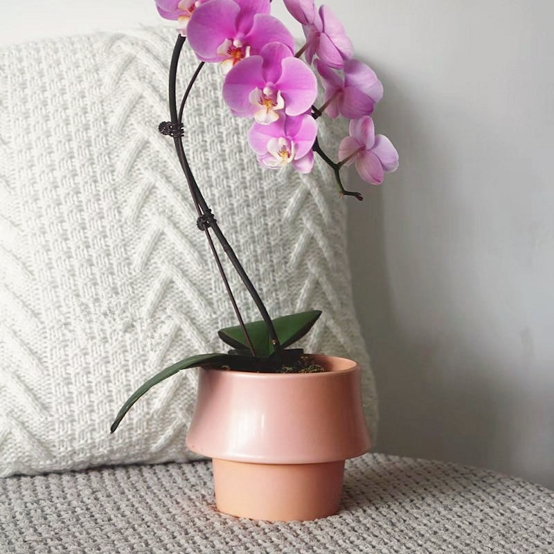 small round ceramic pink  flower pot